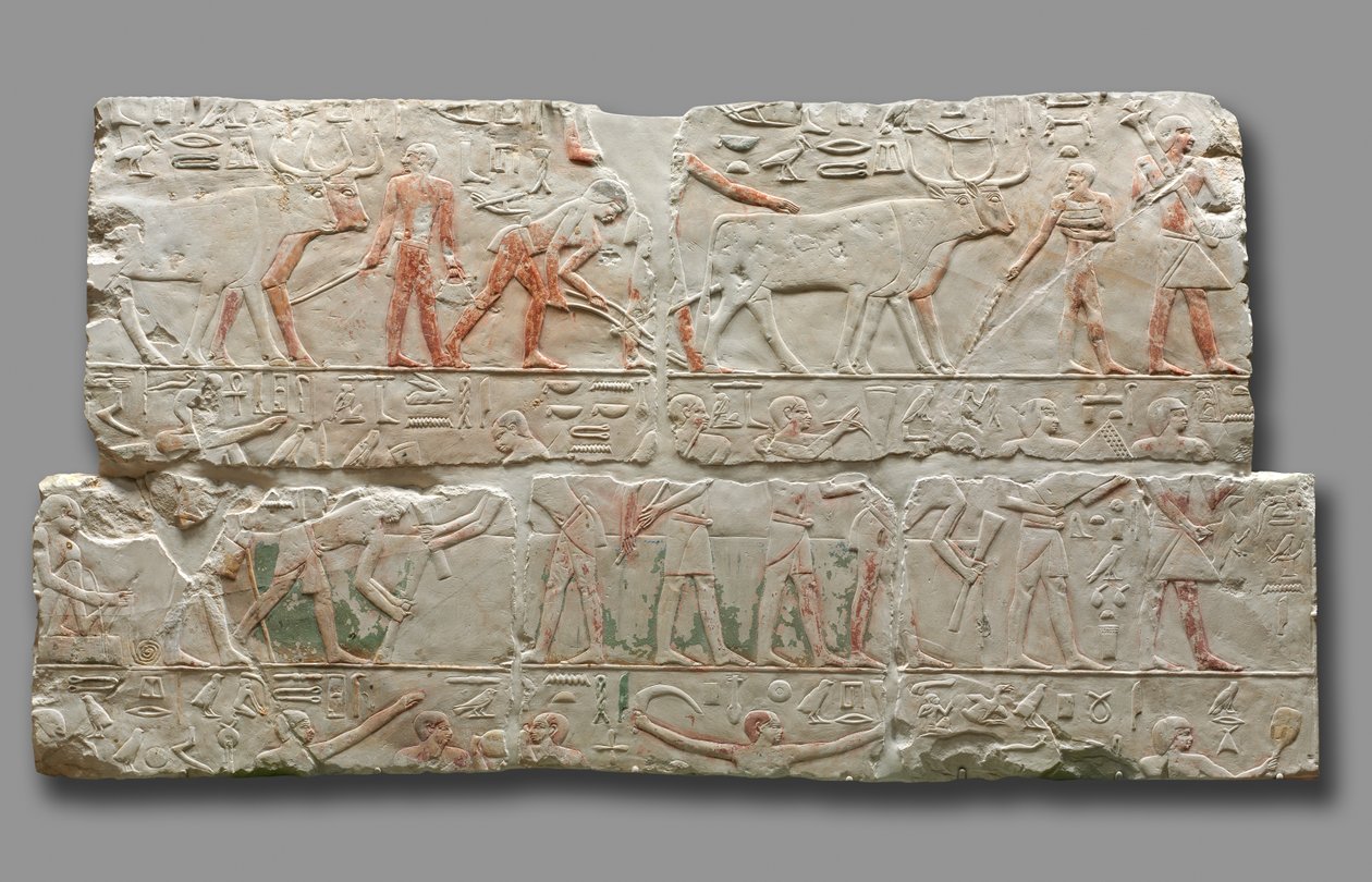 Mezőgazdasági jelenetek domborműve, c. 2311-2281. alkotó: Unbekannt
