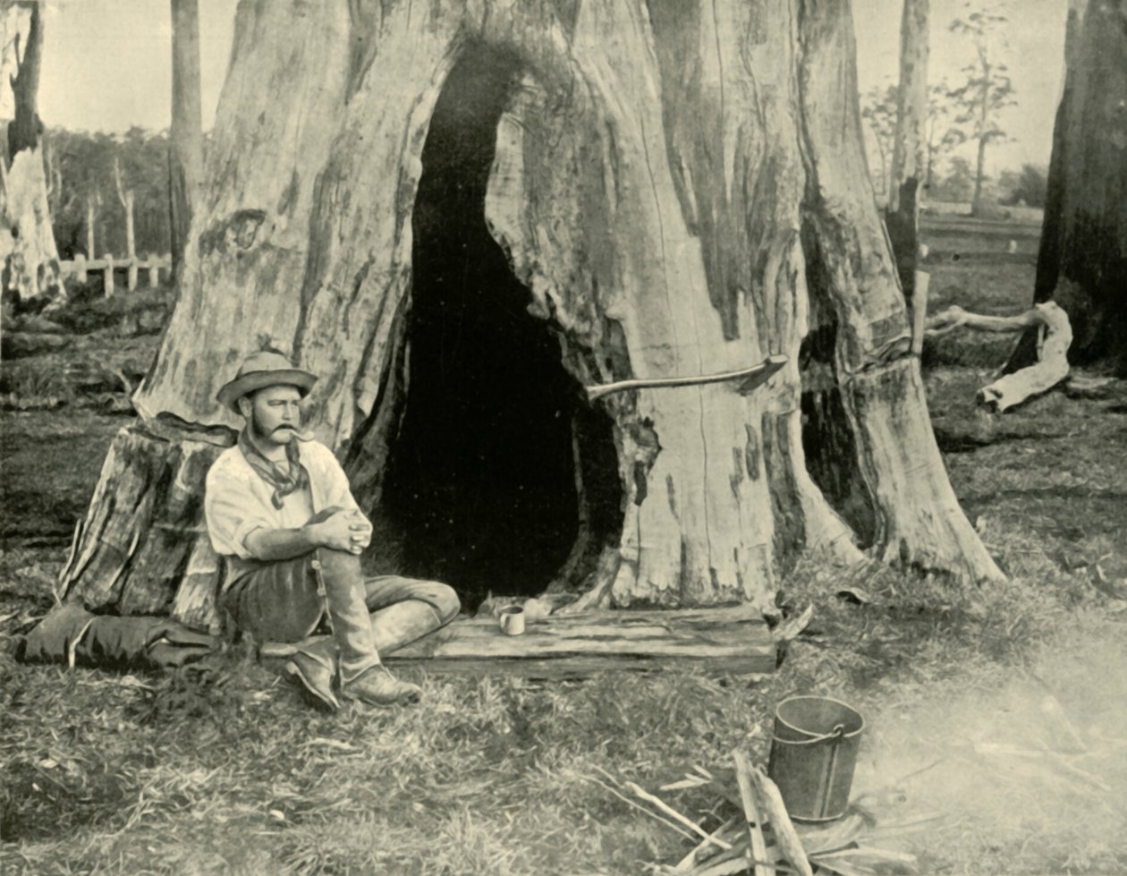 Pihenés, 1901. alkotó: Unbekannt