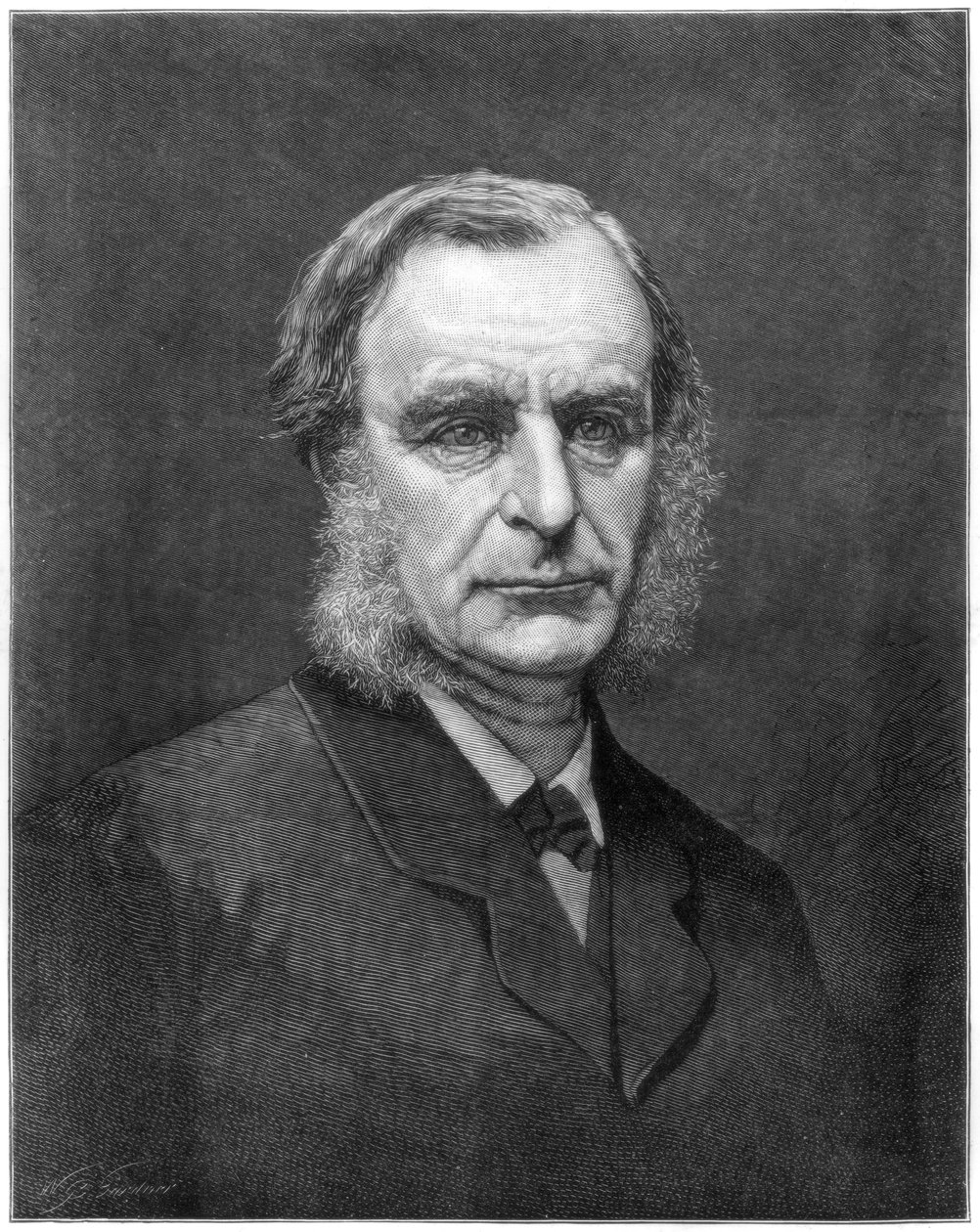 Charles Kingsley tiszteletes, angol pap és író, 1875 alkotó: Unbekannt