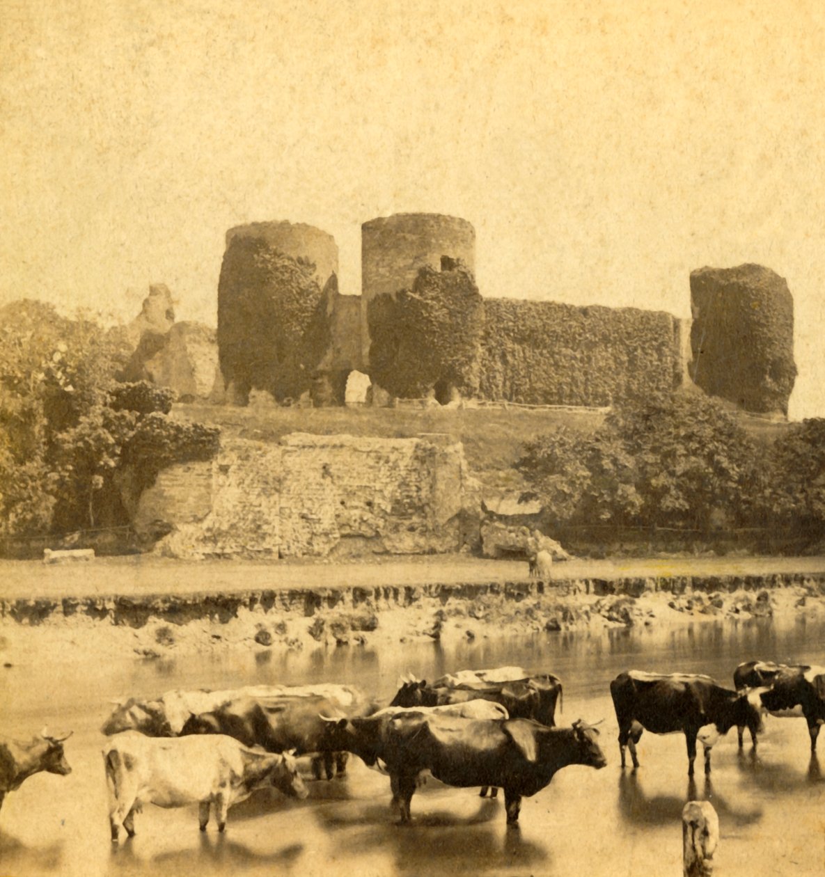 Rhuddlan – Kastély a folyóból, 1900 körül. alkotó: Unbekannt