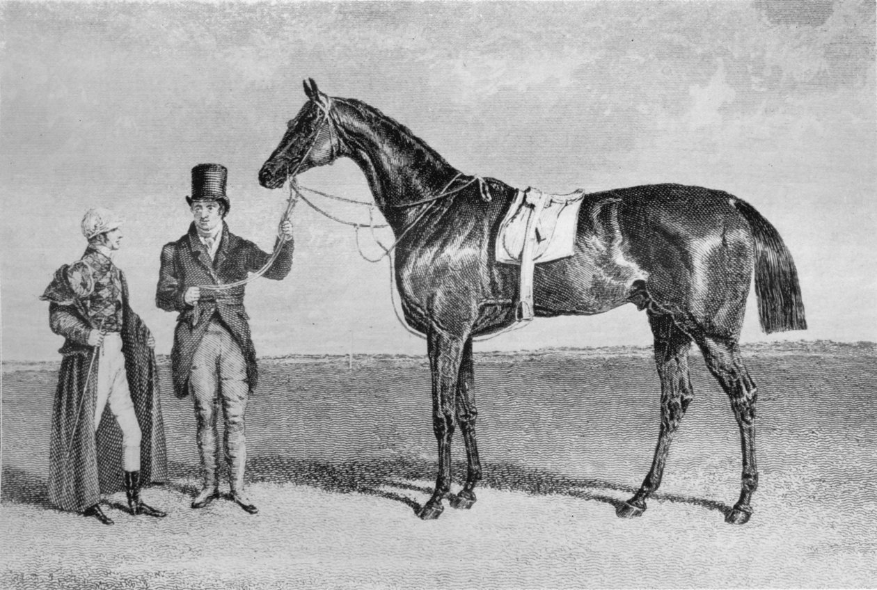 Rockingham, 1830-1842, 1911 alkotó: Unbekannt