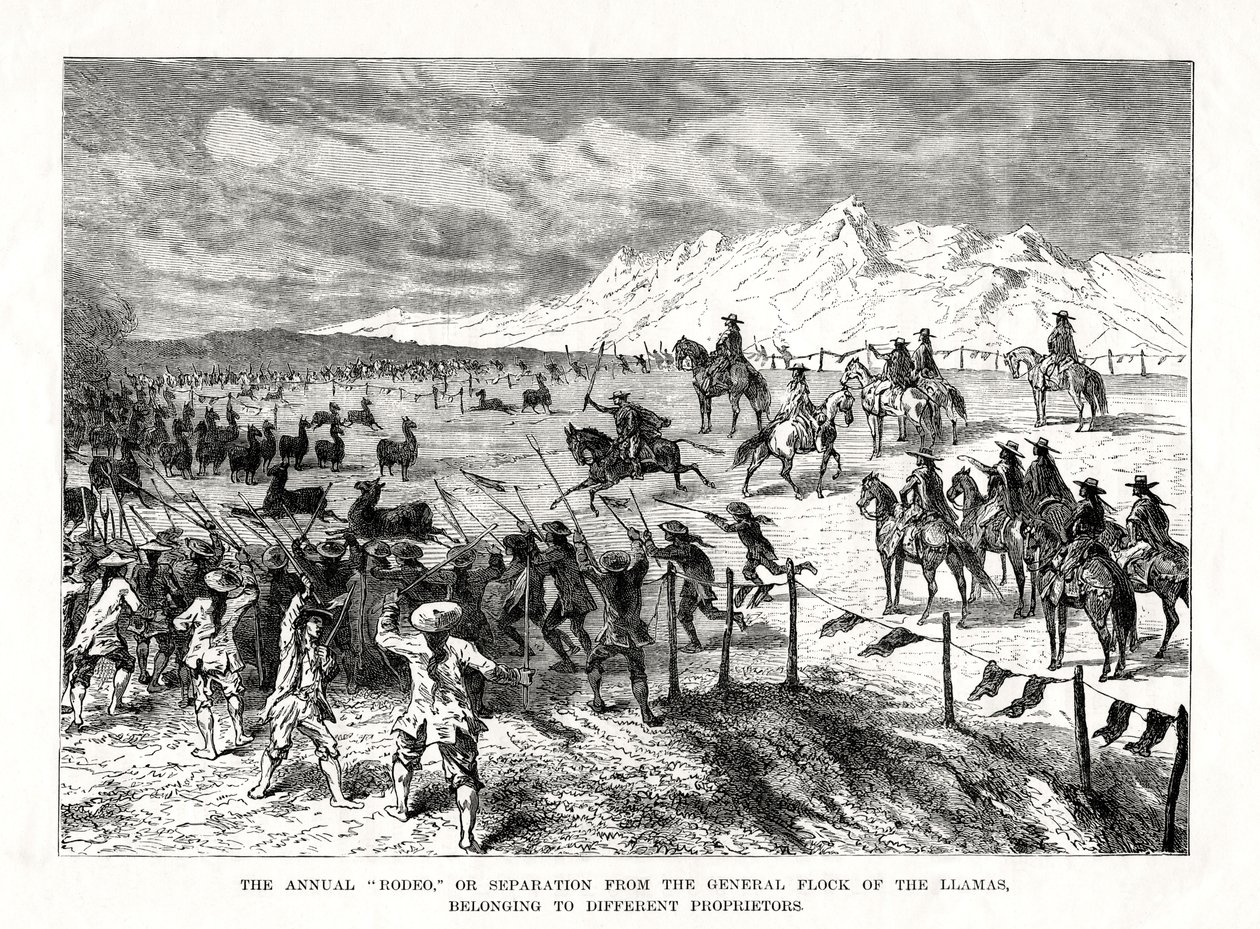 Rodeo, Dél-Amerika, 1877 alkotó: Unbekannt