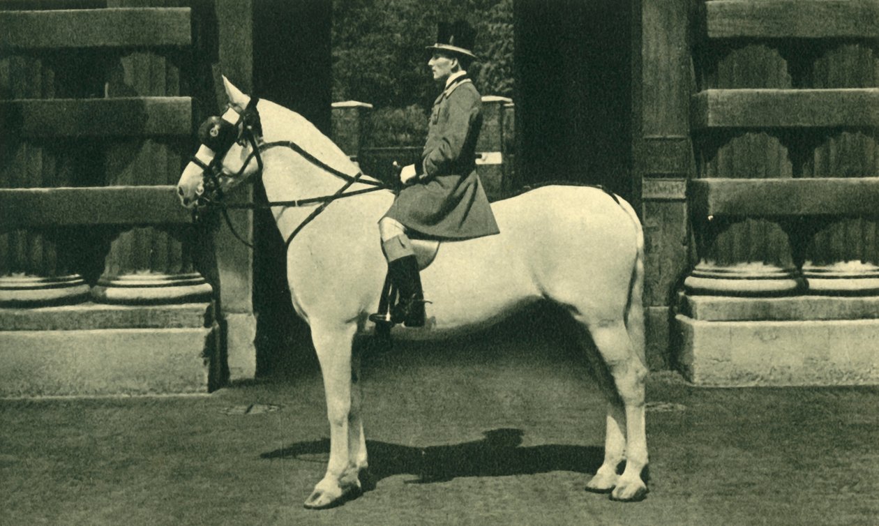 Royal Outrider a Scarlet Liveryben, 1950-es évek. alkotó: Unbekannt