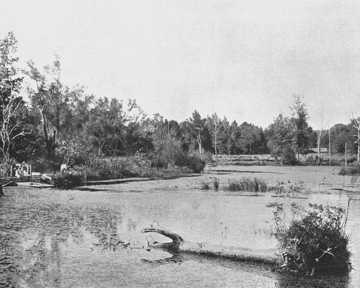 Jelenet Mississippiben, USA, 1900. alkotó: Unbekannt