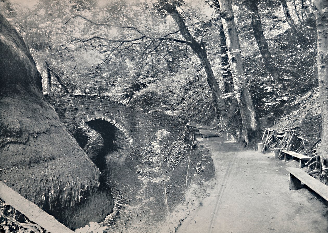 Shanklin - A kínai, 1895 alkotó: Unbekannt