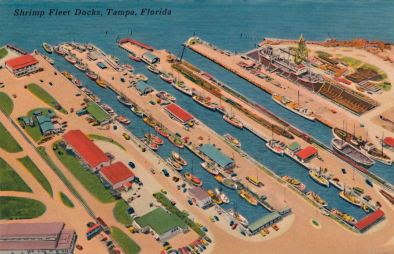 Shrimp Fleet Docks, Tampa, Florida, 1940-es évek alkotó: Unbekannt