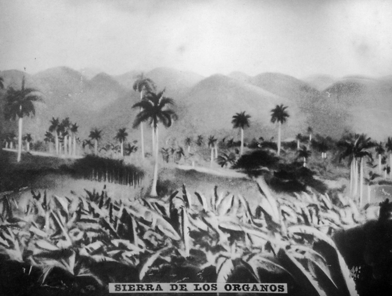 Sierra de los Organos, 1896, 1920-as évek alkotó: Unbekannt
