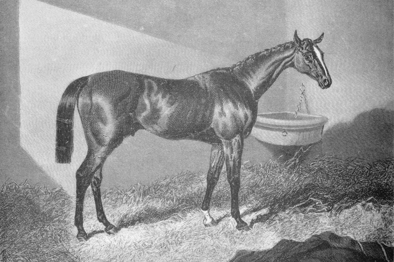 Sir Tatton Sykes, 1842-1860, 1911 alkotó: Unbekannt