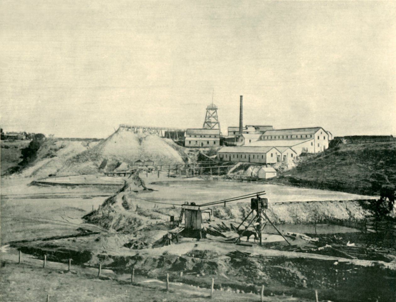 A keleti aranybánya csillaga, Ballarat, 1901. alkotó: Unbekannt