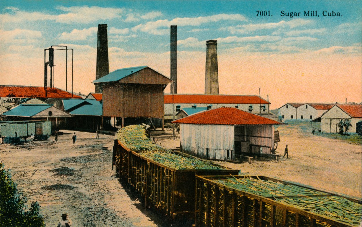 Cukormalom, Kuba, 1910 alkotó: Unbekannt