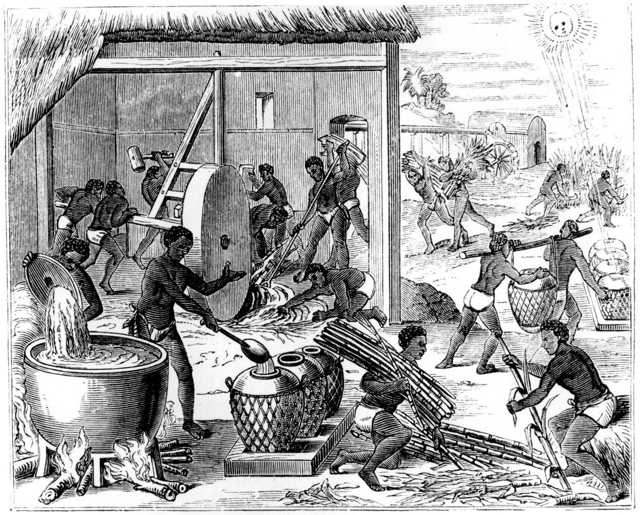 Cukorgyártás, 1873 alkotó: Unbekannt