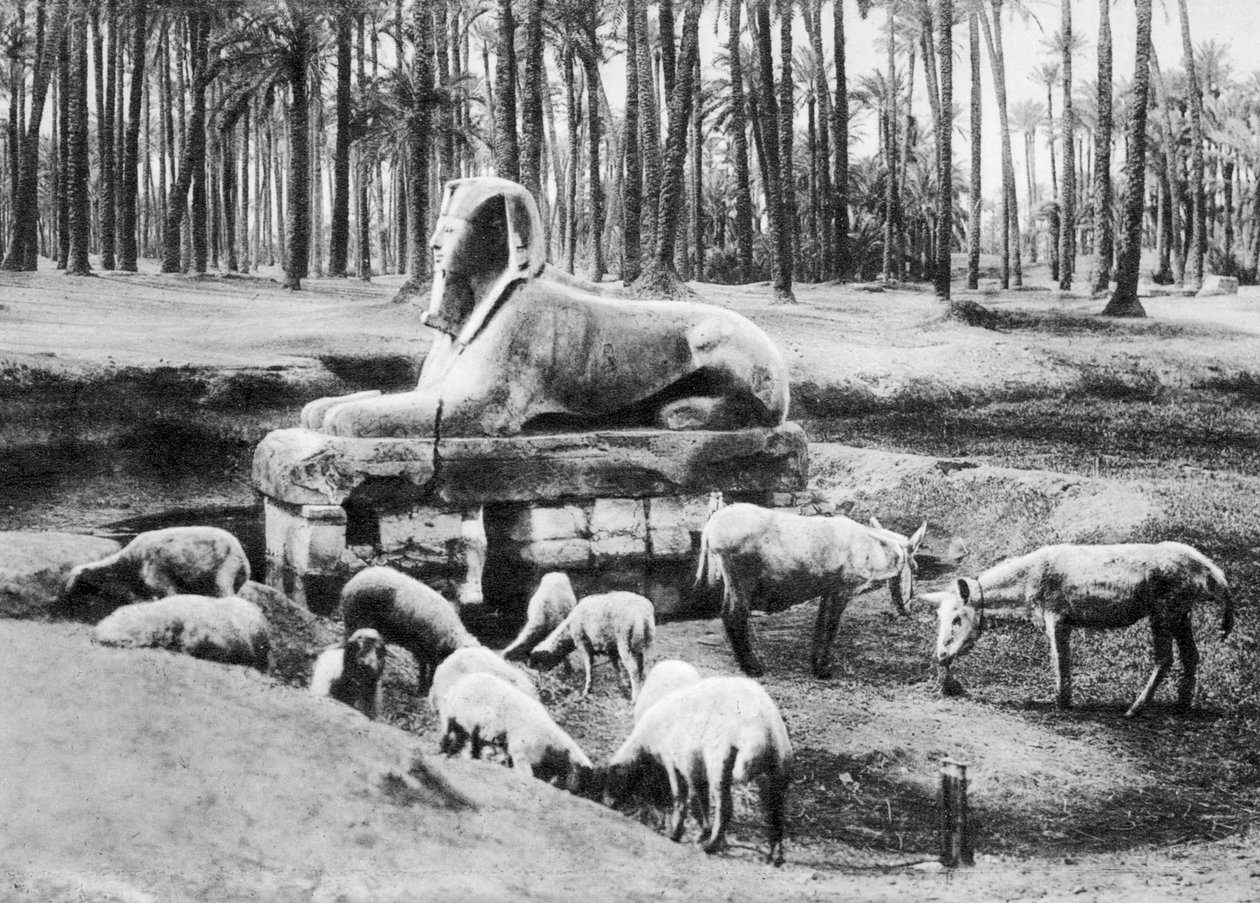 Az alabástrom szfinx, Kairó, Egyiptom, 1920-as évek alkotó: Unbekannt