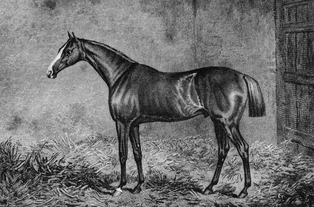 Az ezredes, 1825-1847, 1911 alkotó: Unbekannt