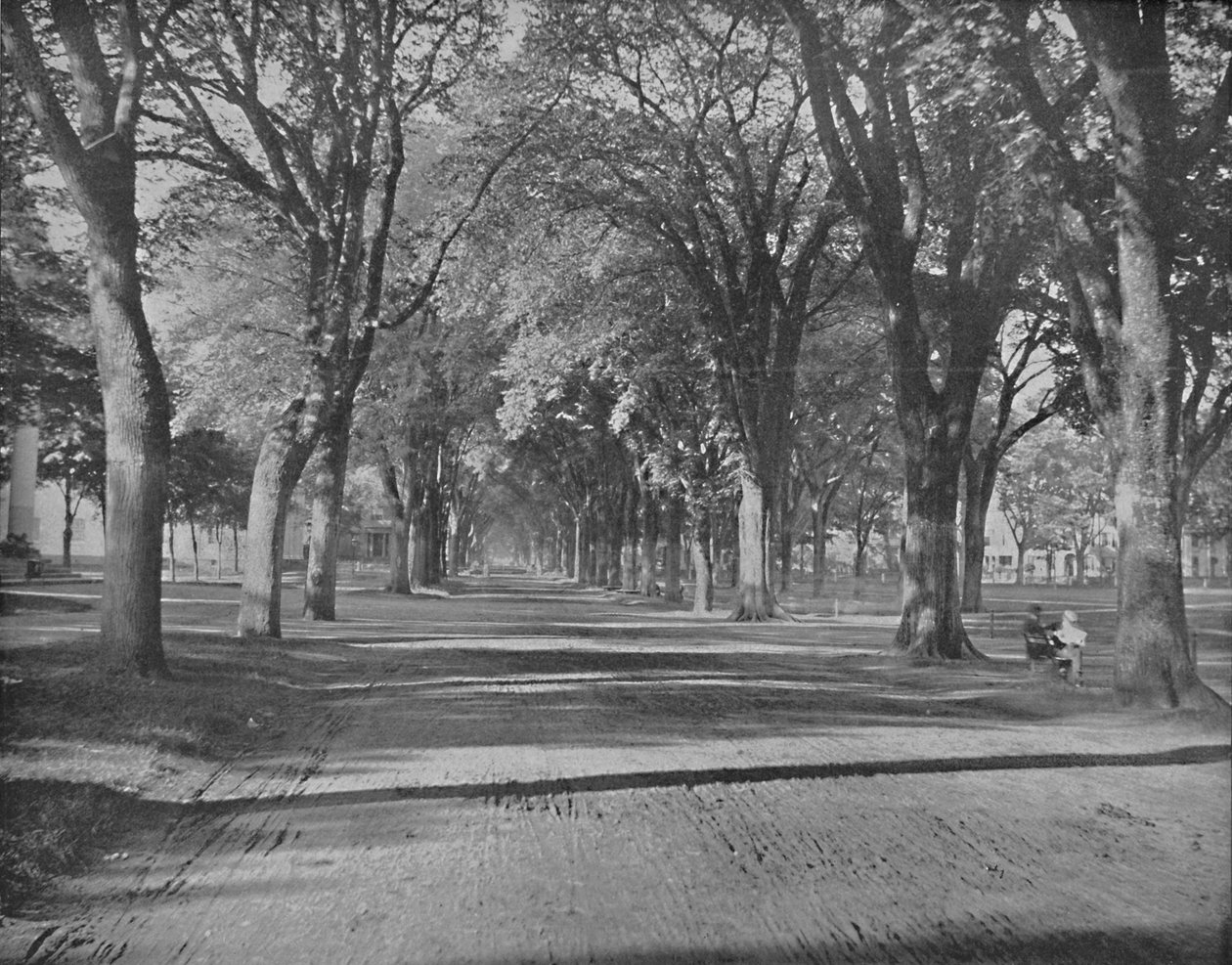 The Elms, New Haven, Conn., 1897. alkotó: Unbekannt