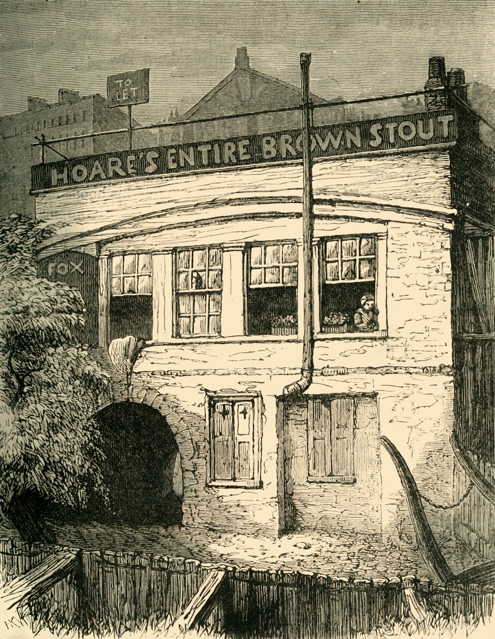 The Fox-Under-The-Hill., 1881. alkotó: Unbekannt