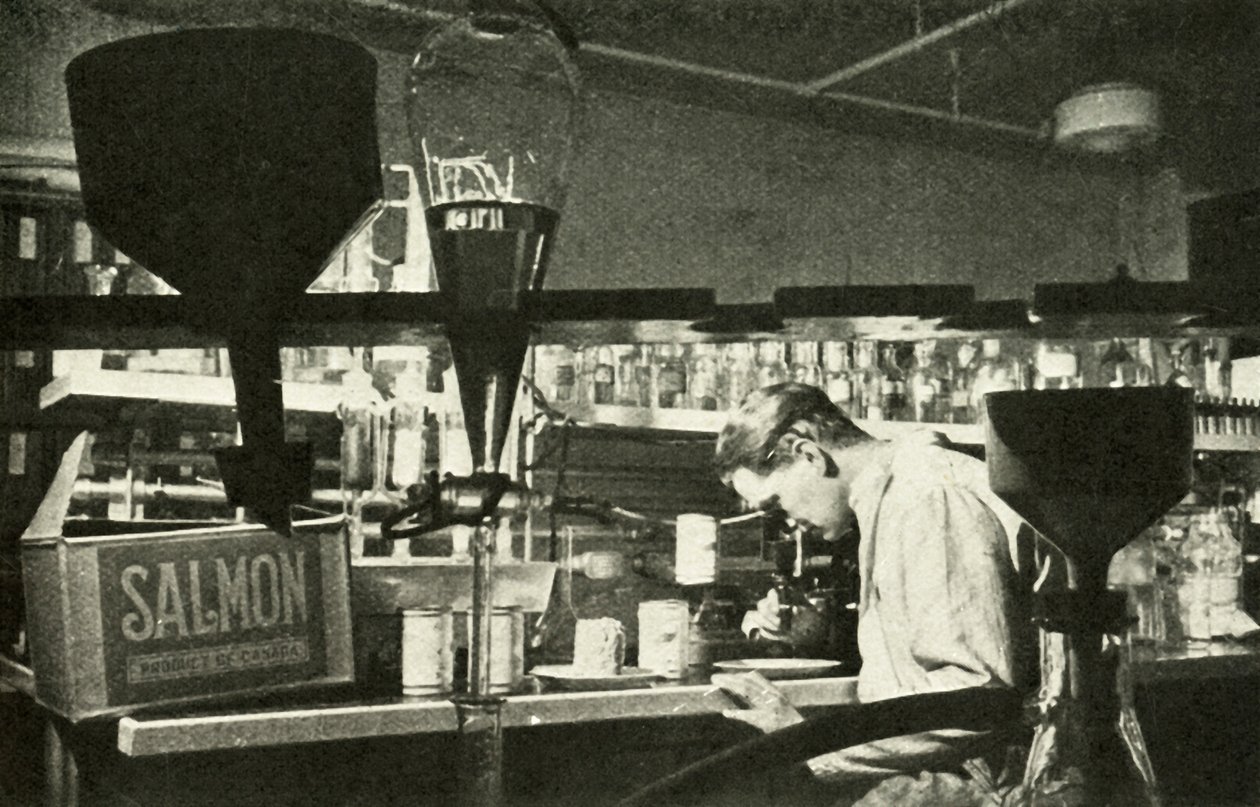 A nagy lazacipar, c1948. alkotó: Unbekannt
