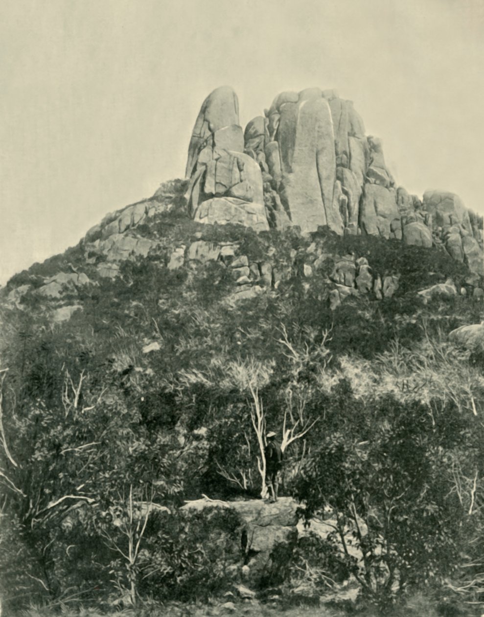 The Hump, Buffalo Mountains, 1901. alkotó: Unbekannt