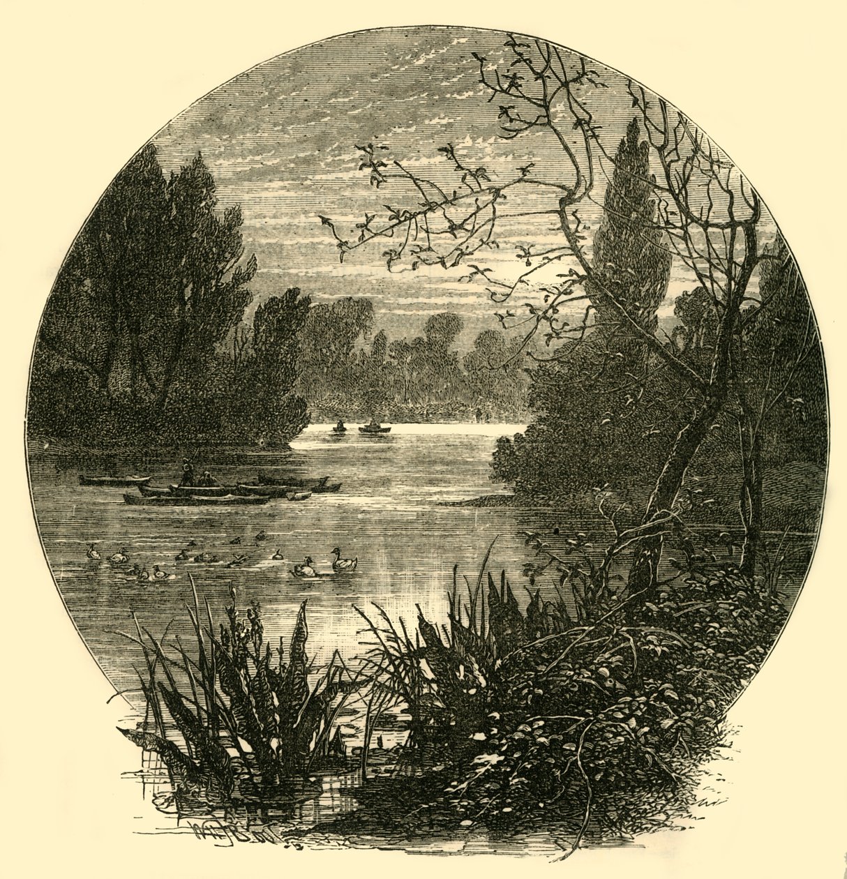 A tó, Battersea Park, 1878. alkotó: Unbekannt