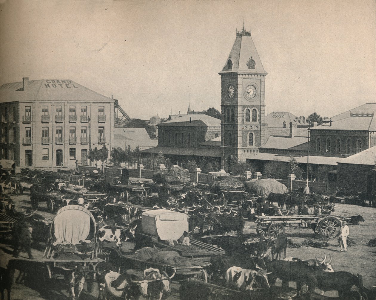 The Market, Kimberley, 1900. alkotó: Unbekannt