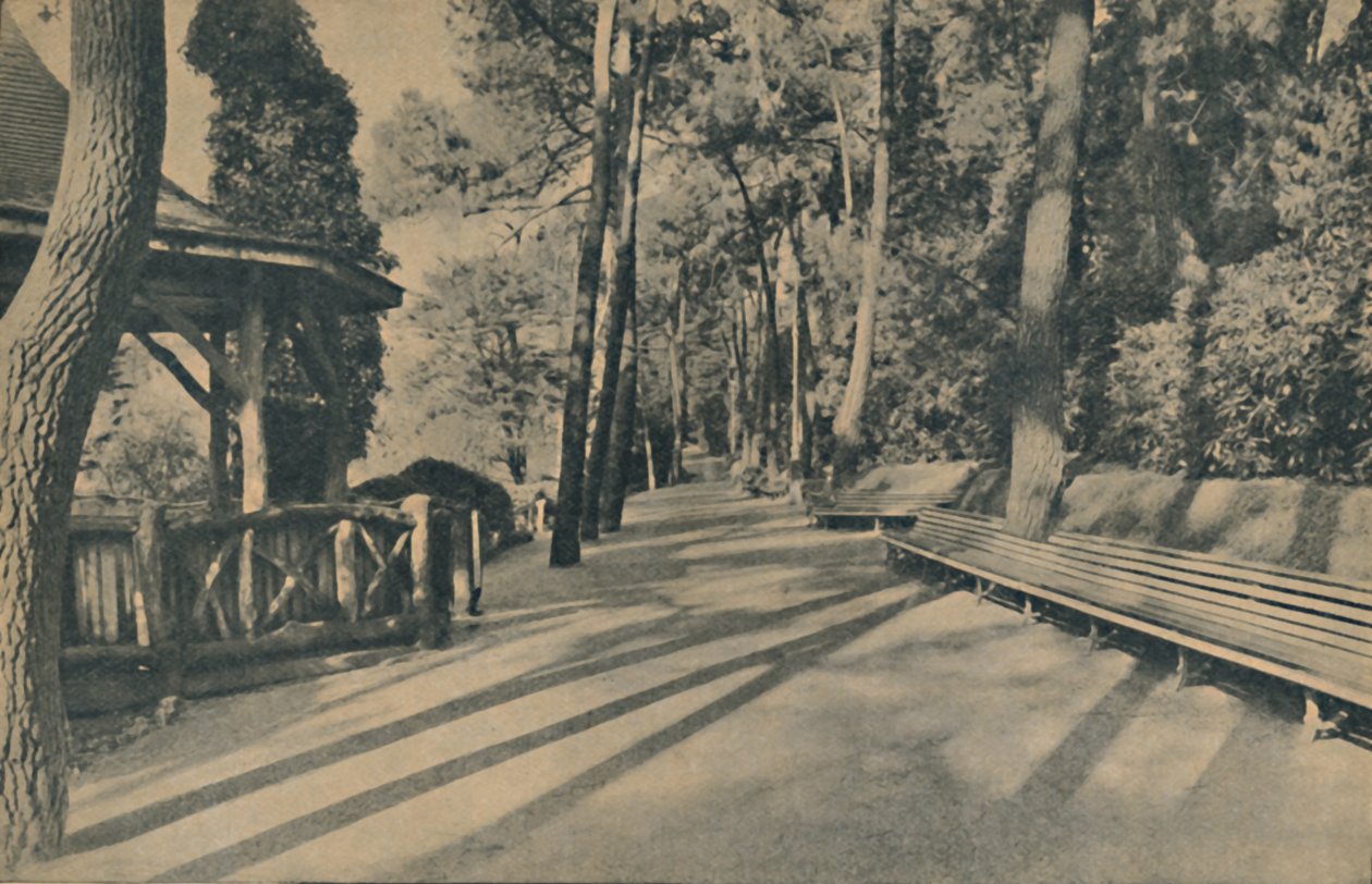 A fenyőséta, 1929 alkotó: Unbekannt