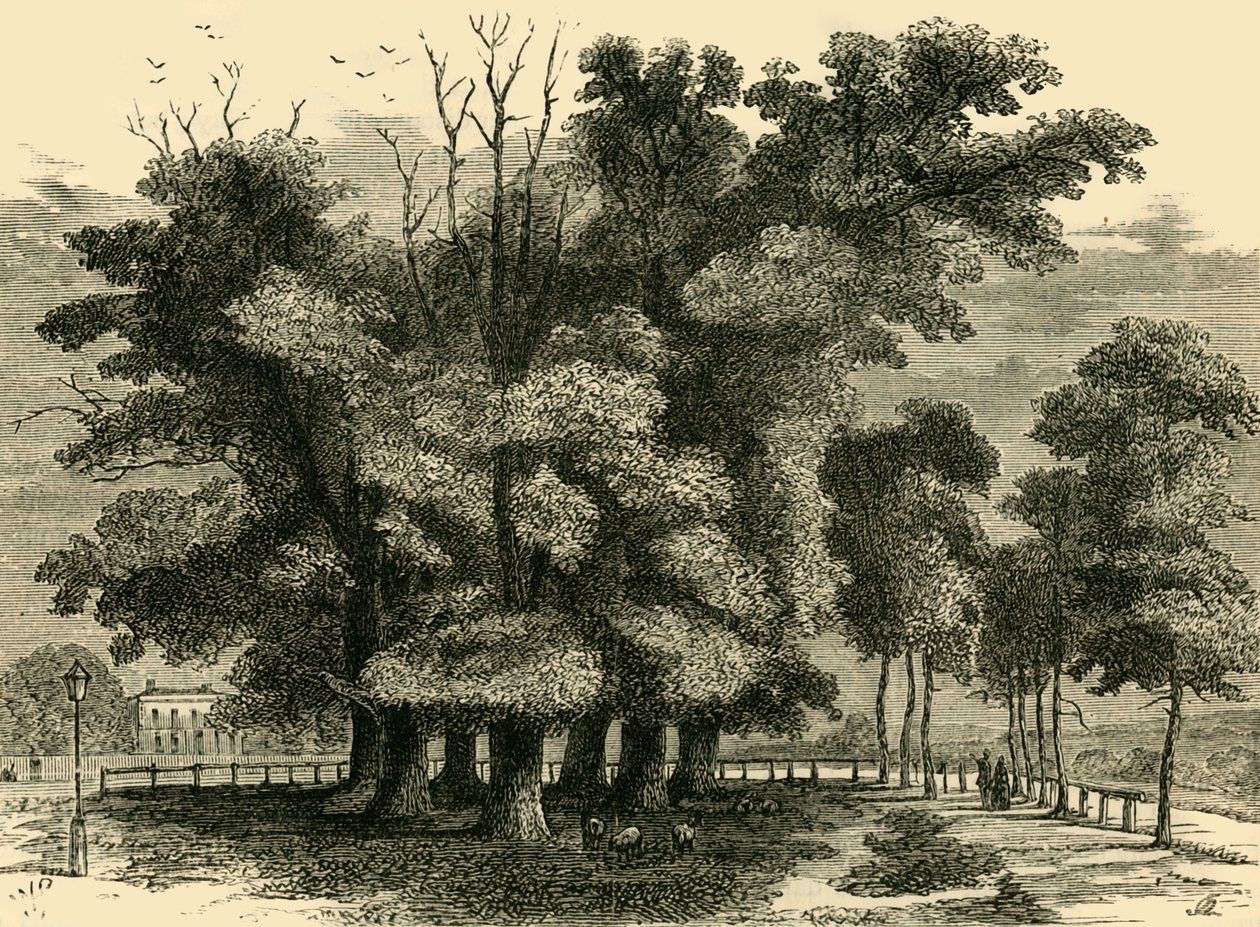 A hét nővér, 1830-ban, c1876. alkotó: Unbekannt