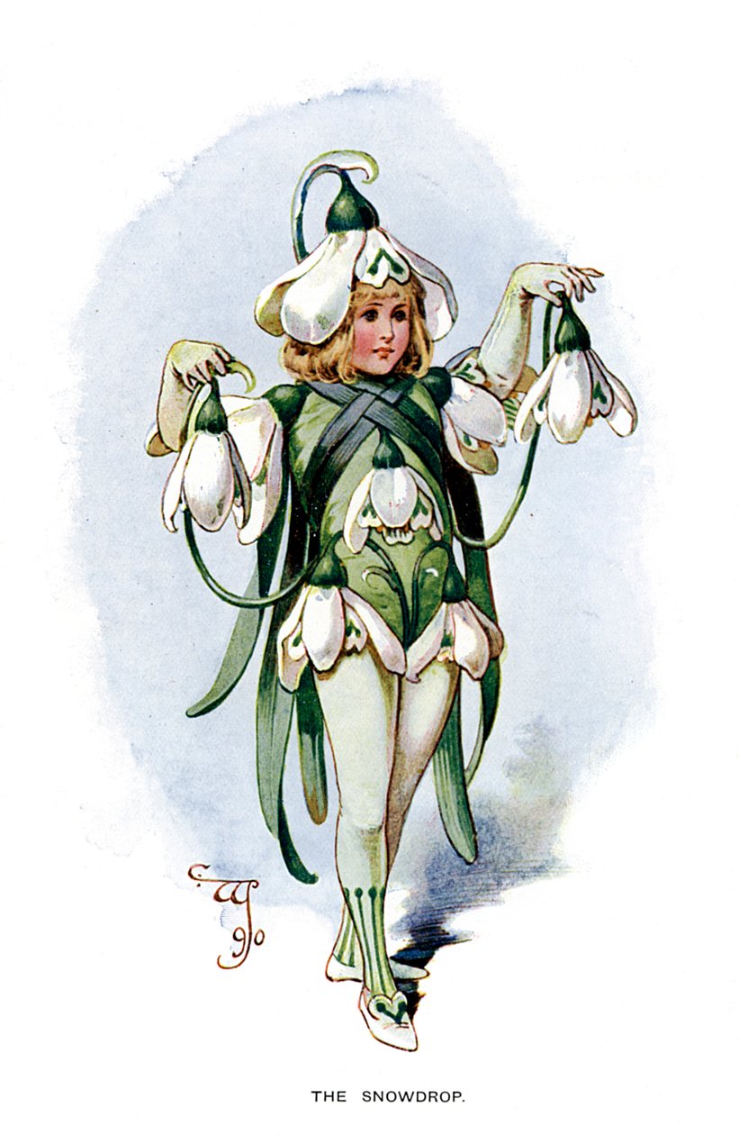 A hóvirág, 1899 alkotó: Unbekannt