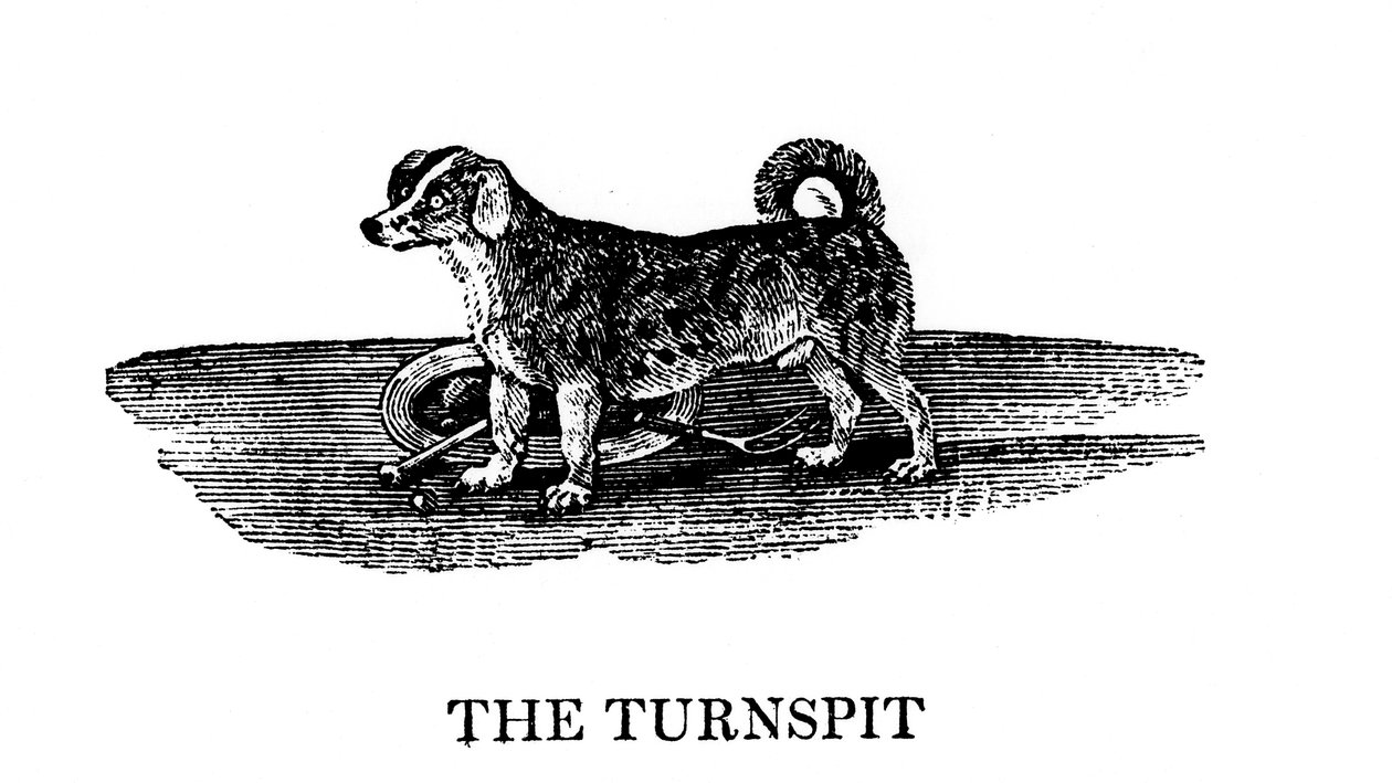 A Tunspit, 1790 alkotó: Unbekannt