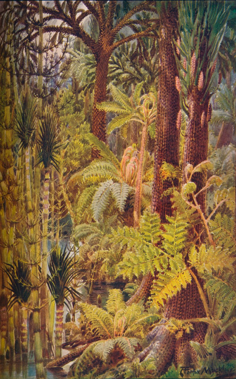 A karbonkor gigantikus növényzete, 1907. alkotó: Unbekannt