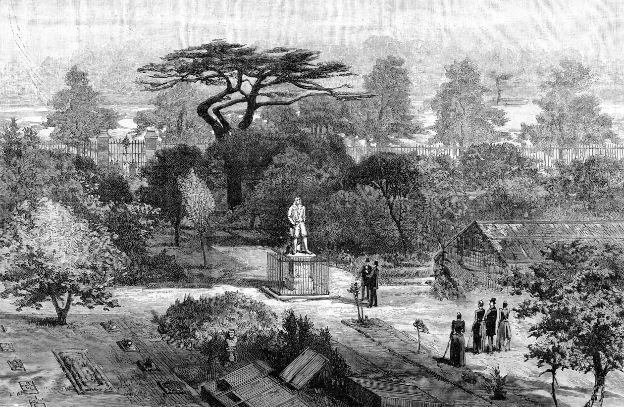 A régi fizikai kert, Chelsea, 1890 alkotó: Unbekannt