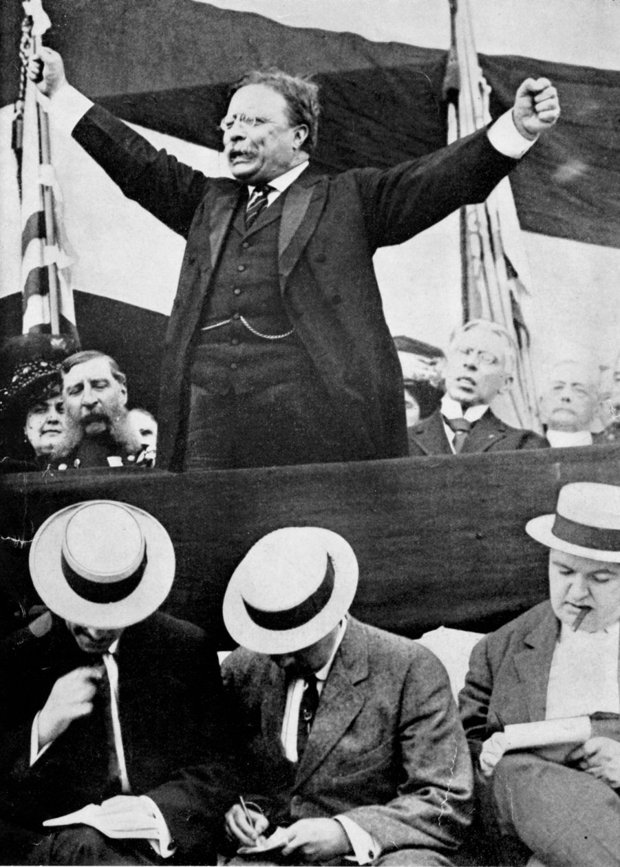 Theodore Roosevelt, amerikai elnök, 1901-1909 alkotó: Unbekannt