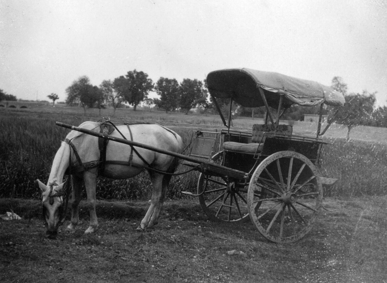 Tonga lovaskocsi, Muttra, India, 1917 alkotó: Unbekannt