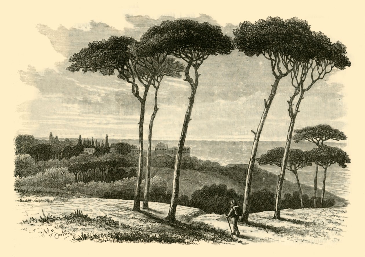 Tusculum, 1890. alkotó: Unbekannt