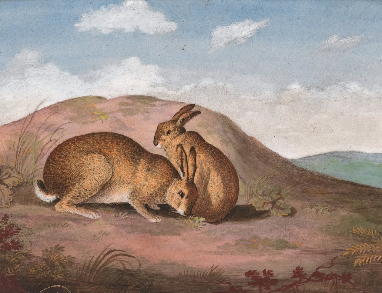 Két nyúl: Egy domboldalon, kb. 1805. alkotó: Unbekannt