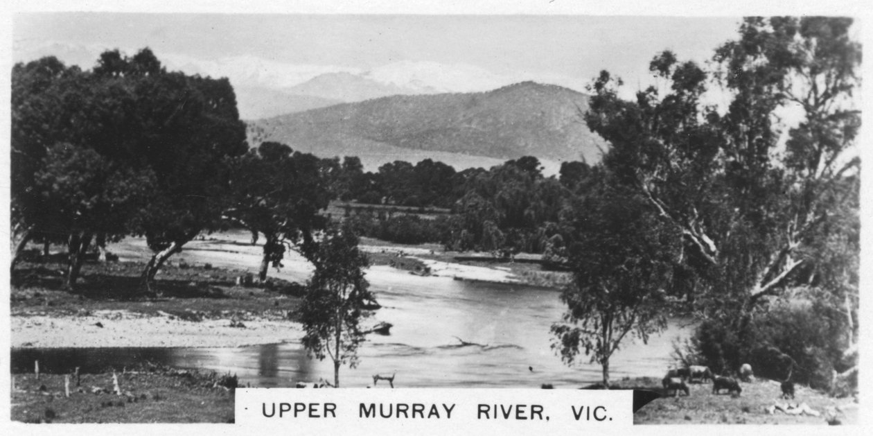Upper Murray River, Victoria, Ausztrália, 1928 alkotó: Unbekannt