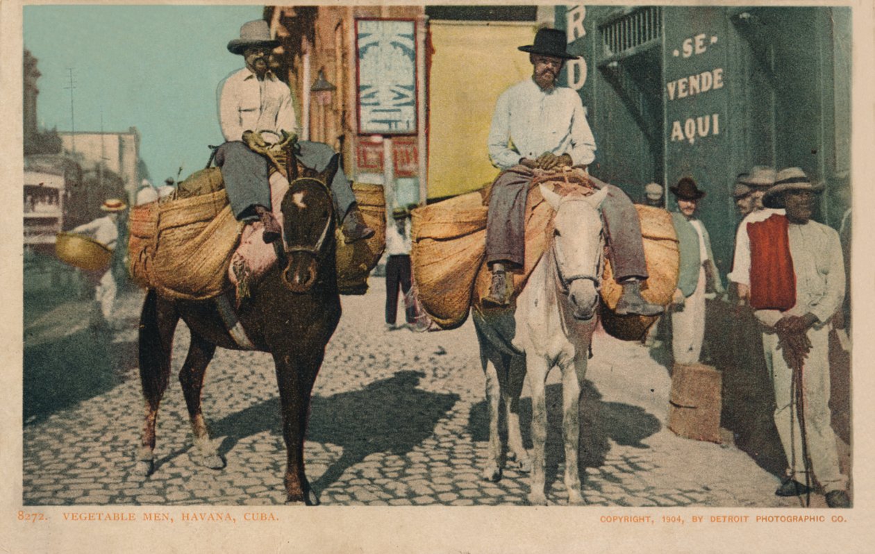 Vegetable Men, Havanna, Kuba, 1904 alkotó: Unbekannt