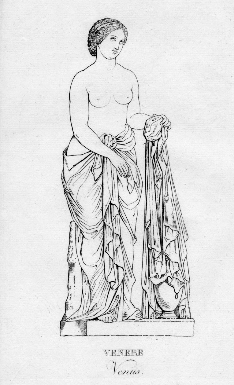 Venere Venus, 1850 alkotó: Unbekannt