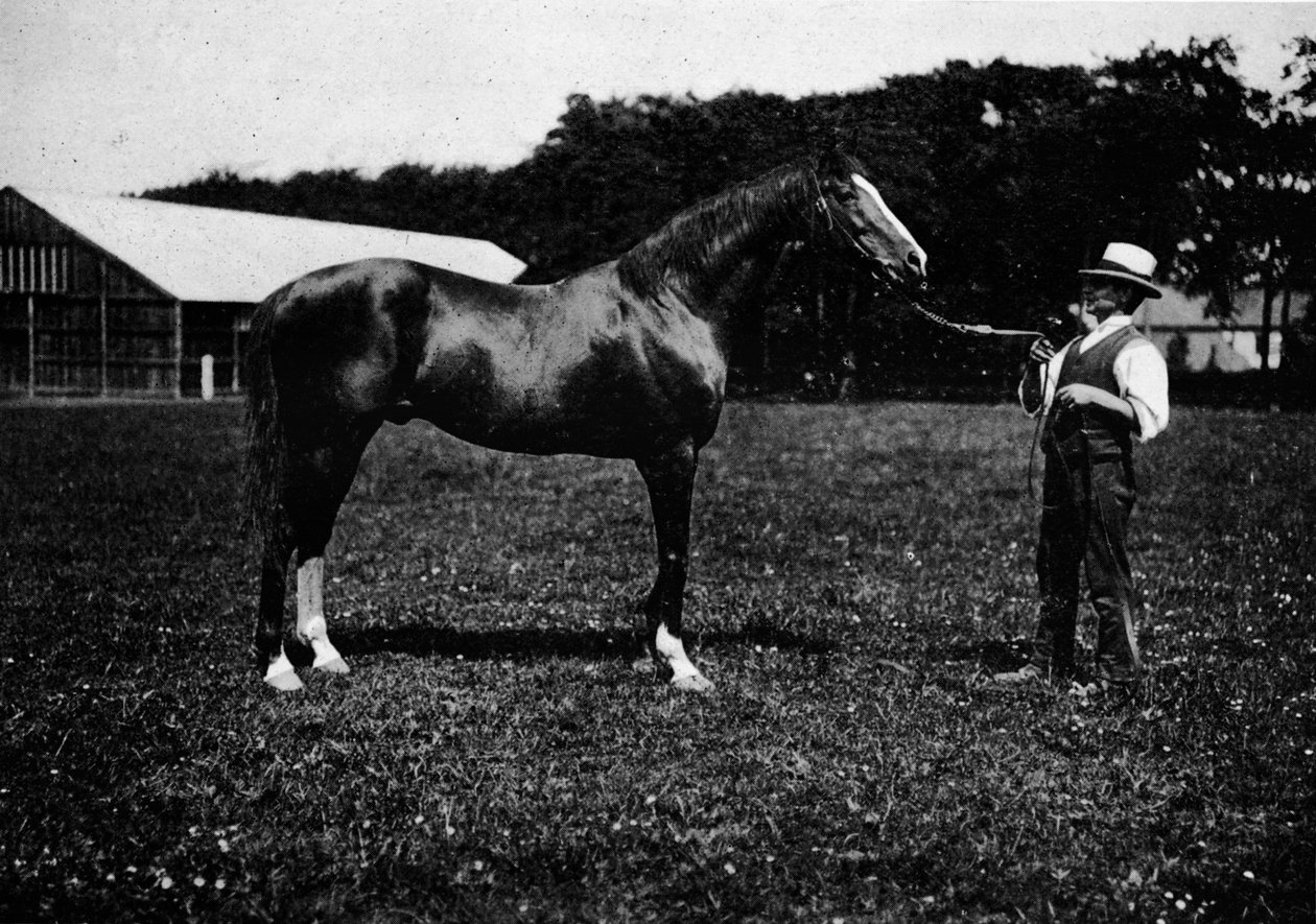 Victor Wild, 1911 alkotó: Unbekannt