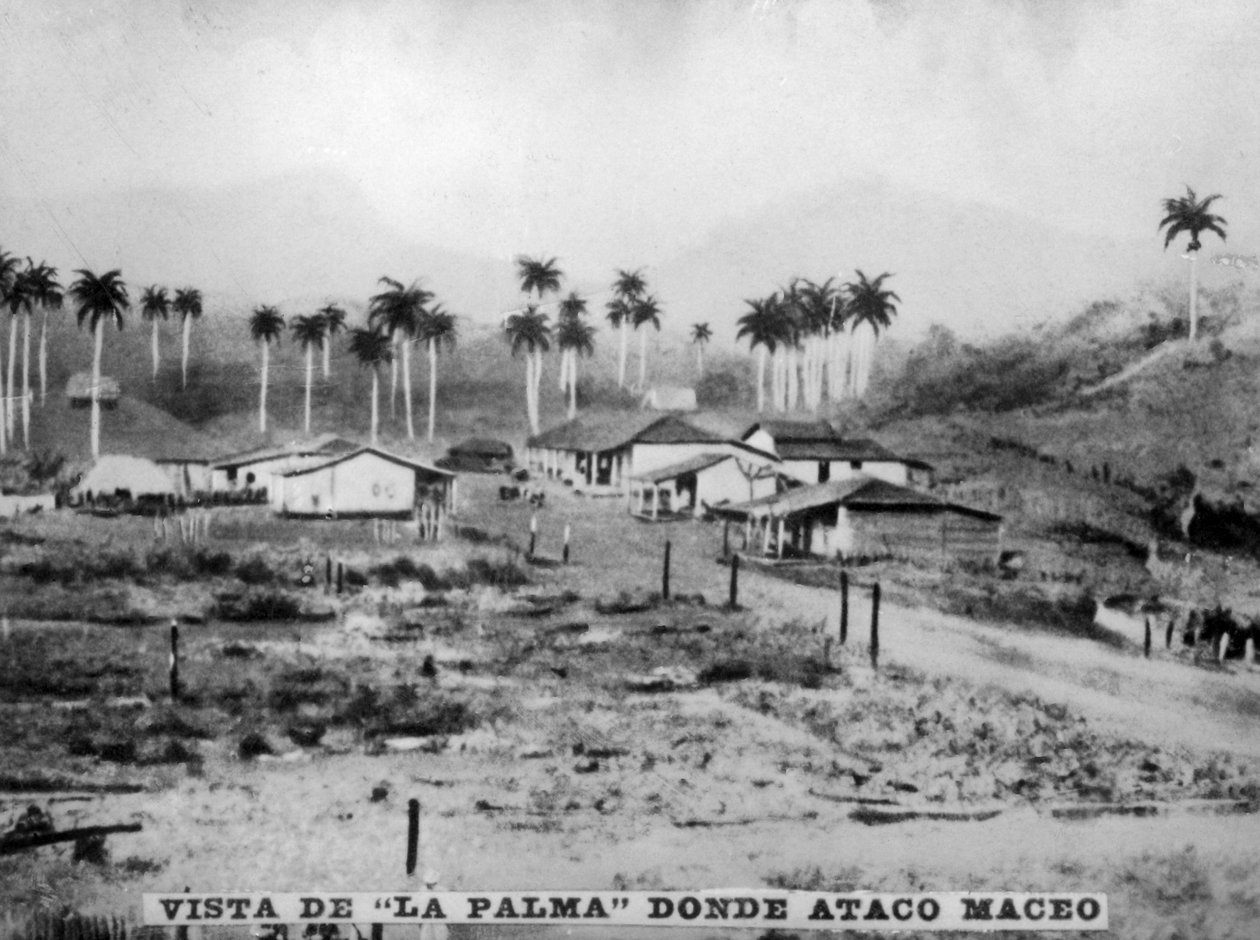 Palma látképe, 1896, 1920-as évek alkotó: Unbekannt