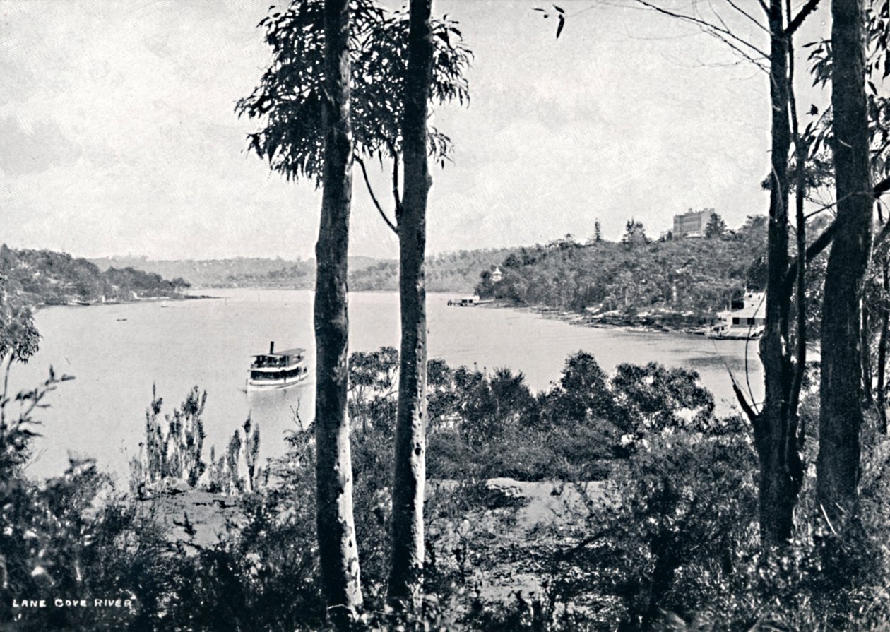 Kilátás a Lane Cove folyóra, c1900. alkotó: Unbekannt