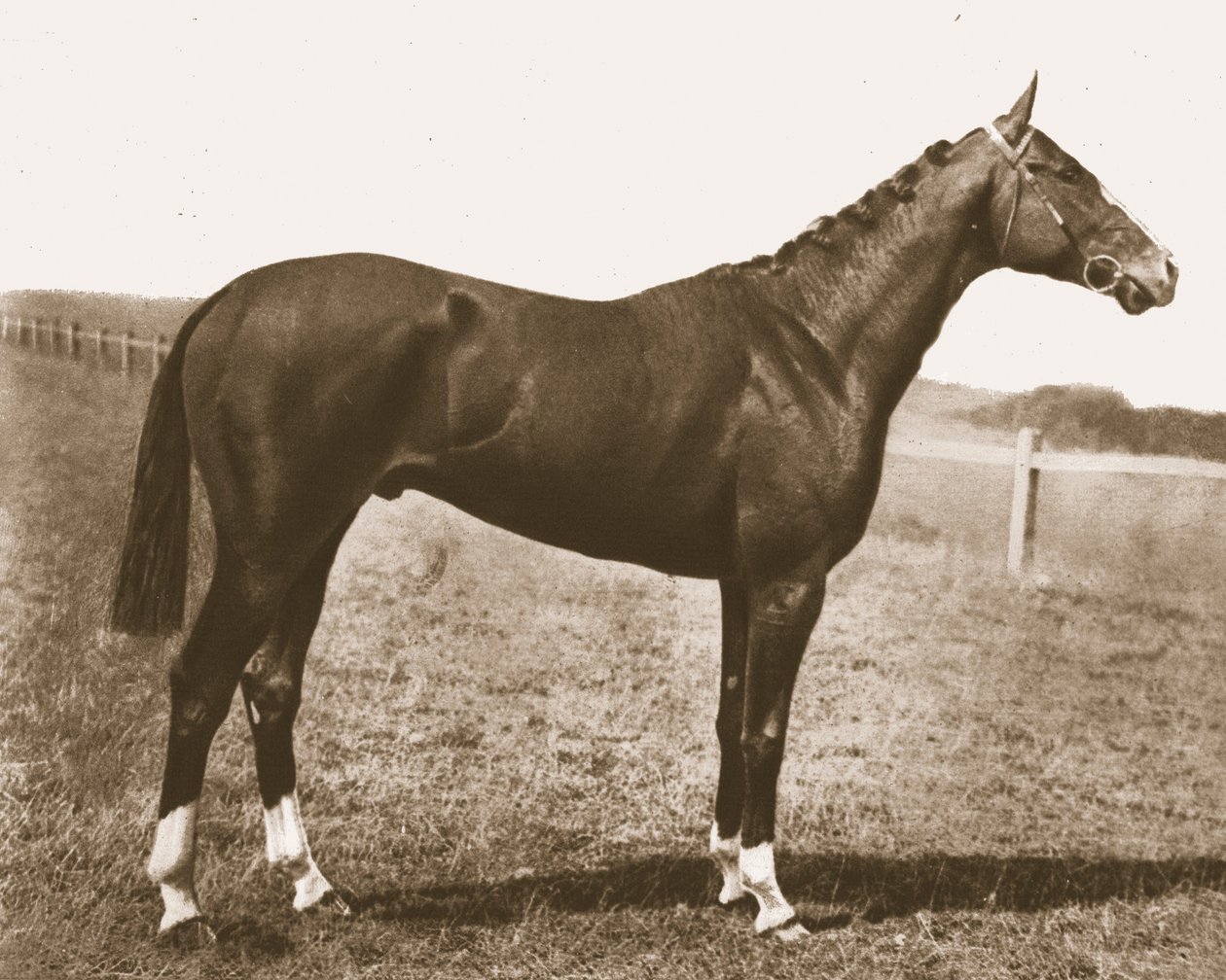 szélkakas, 1911. alkotó: Unbekannt