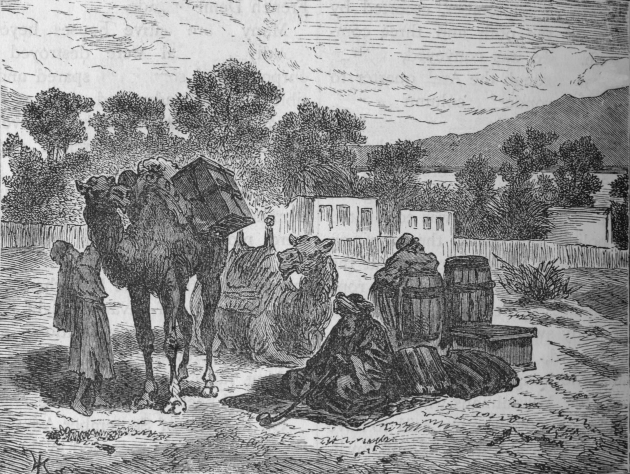 Mózes kútjai, Szuez közelében, 1882 alkotó: Unbekannt