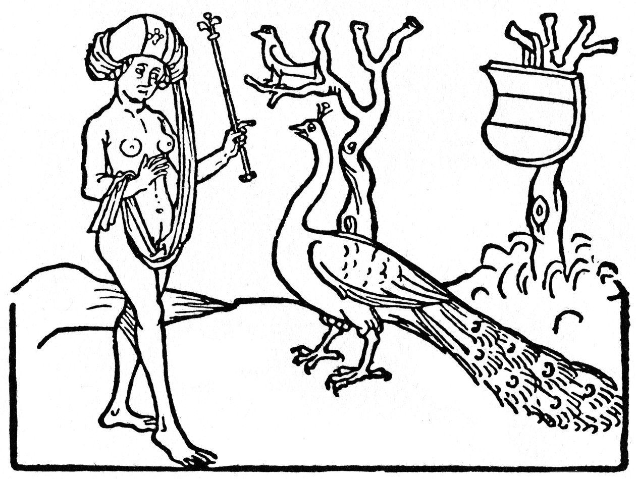 Nő és páva, 1475 1964. alkotó: Unbekannt