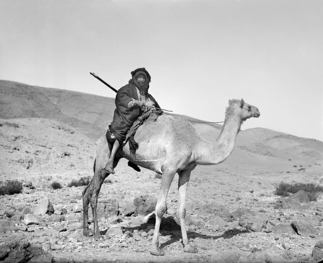 Tevén lovagló beduin, 1936 körül (f/w fotó) alkotó: Unbekannt