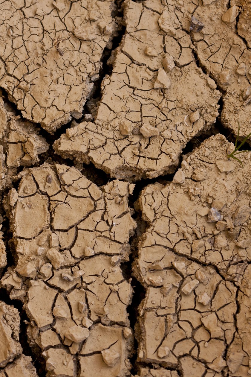 Dry II (fénykép) alkotó: Unbekannter Künstler