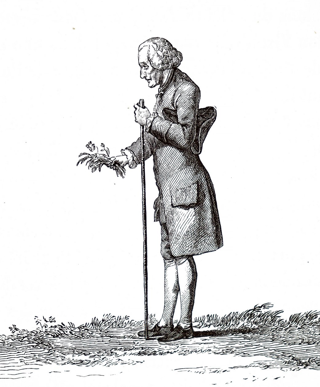 Jean-Jacques Rousseau. alkotó: Unbekannt