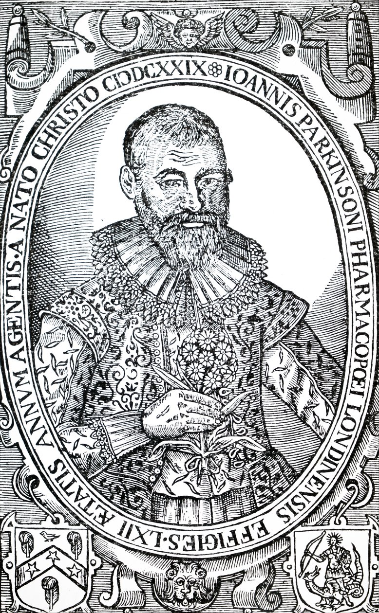 John Parkinson. alkotó: Unbekannt