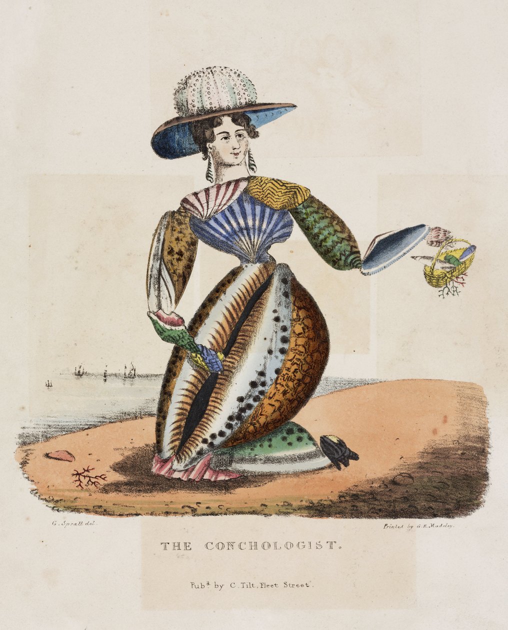A konkológus, 1831 körül alkotó: Unbekannt