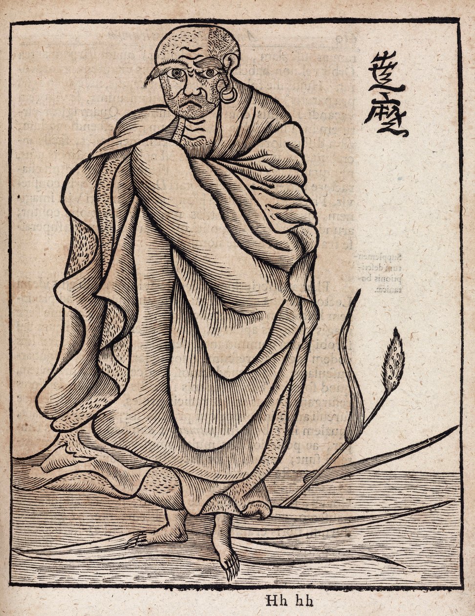 Bodhidharma portrénapja (v alkotó: Unbekannt