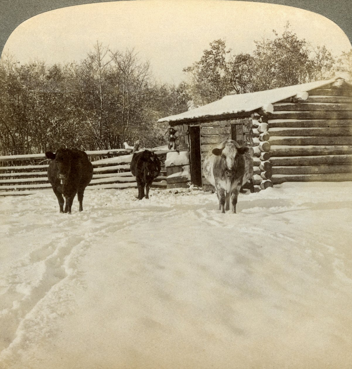 Tél egy tanyán, Montana, USA. alkotó: Underwood and Underwood