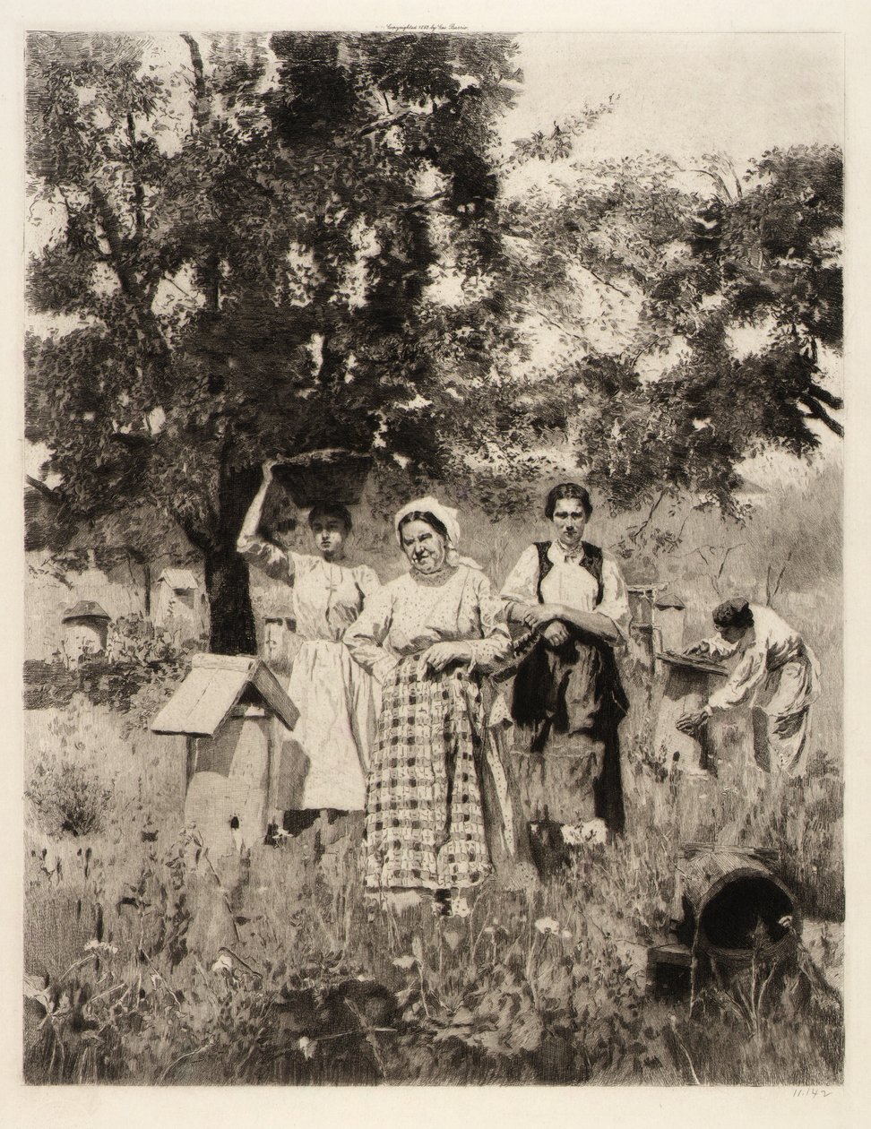 A méhkasok között alkotó: Unidentified